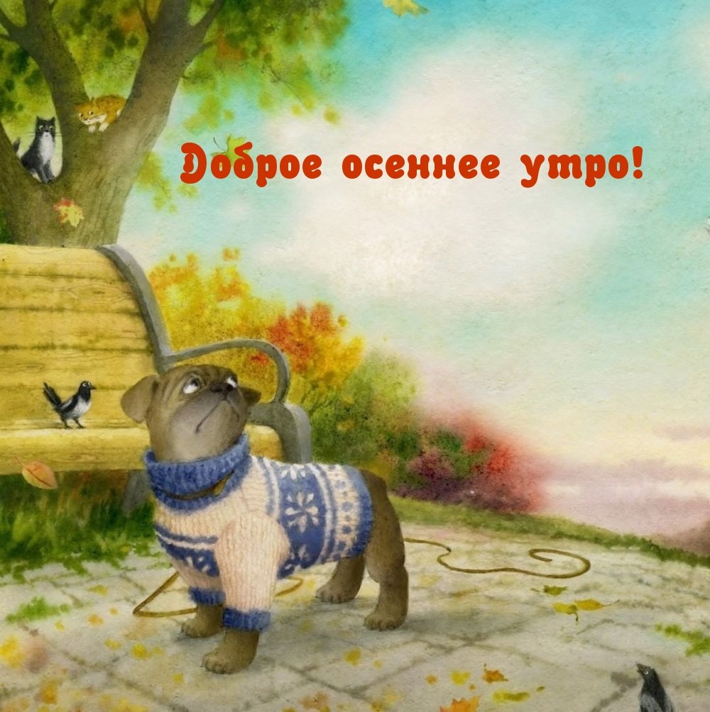 Пожелания доброго утра прикольные