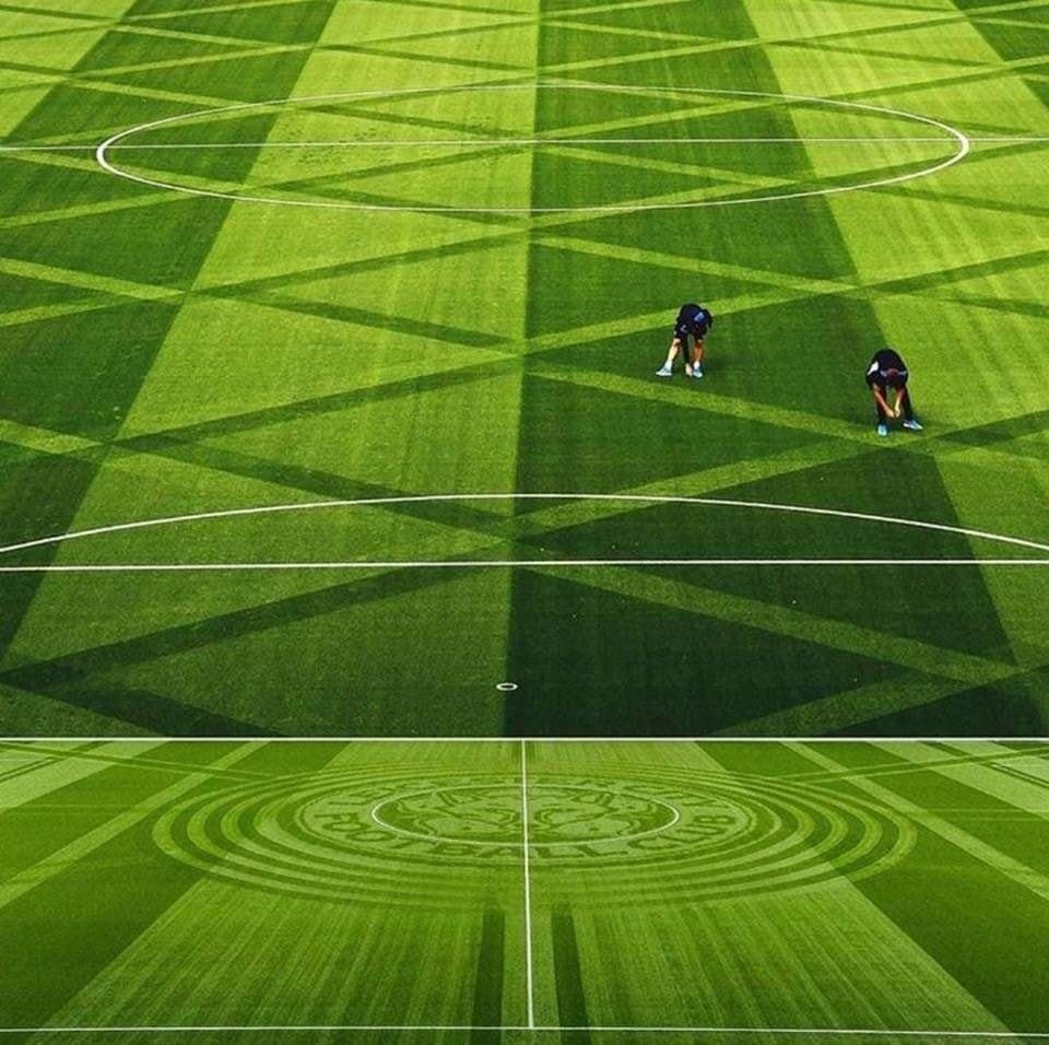 Идеальное футбольное поле