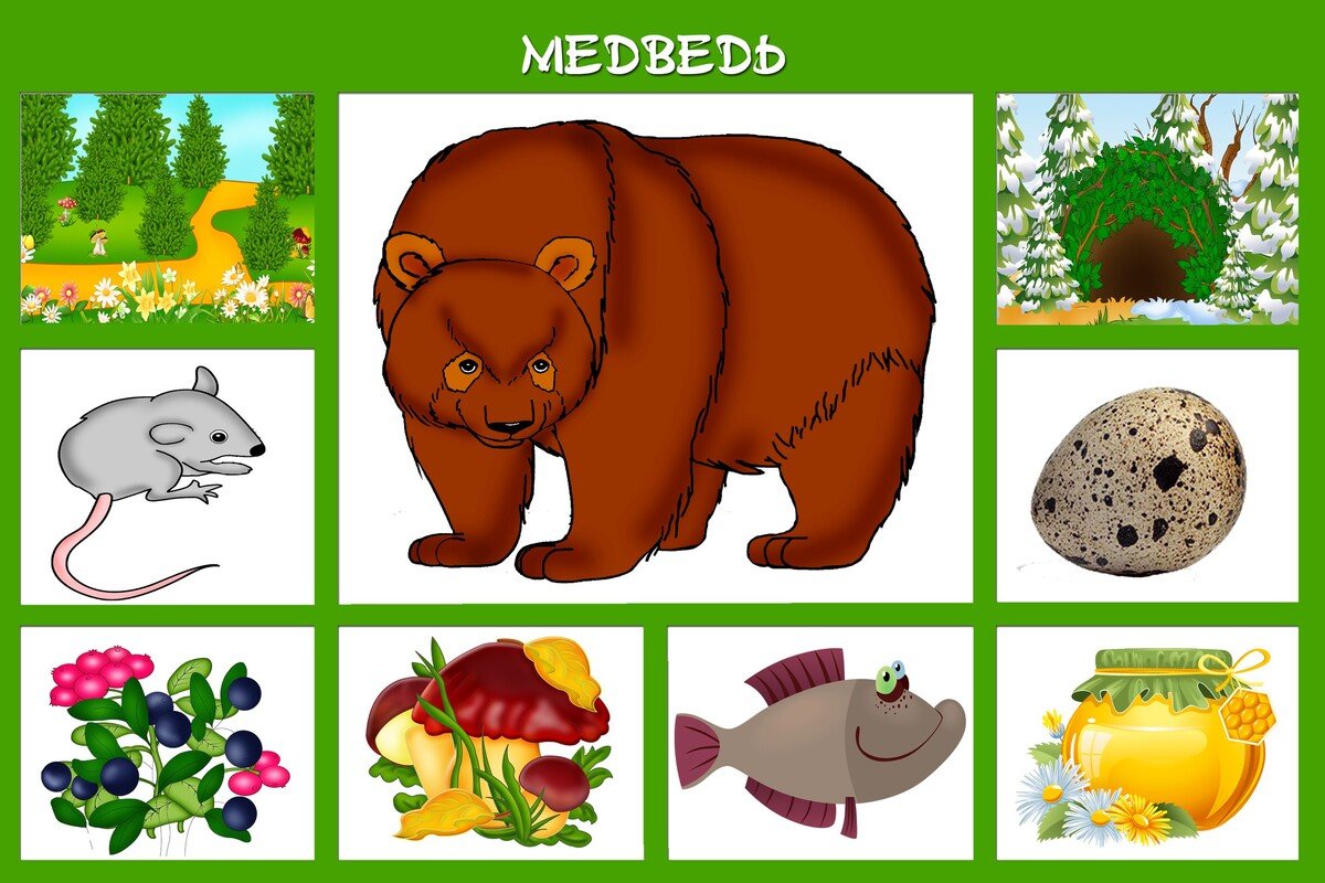 Дикие животные игра «кто что ест» пазл