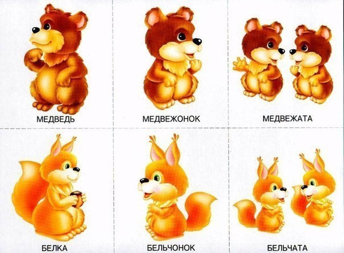 Карточки для игры чей детеныш