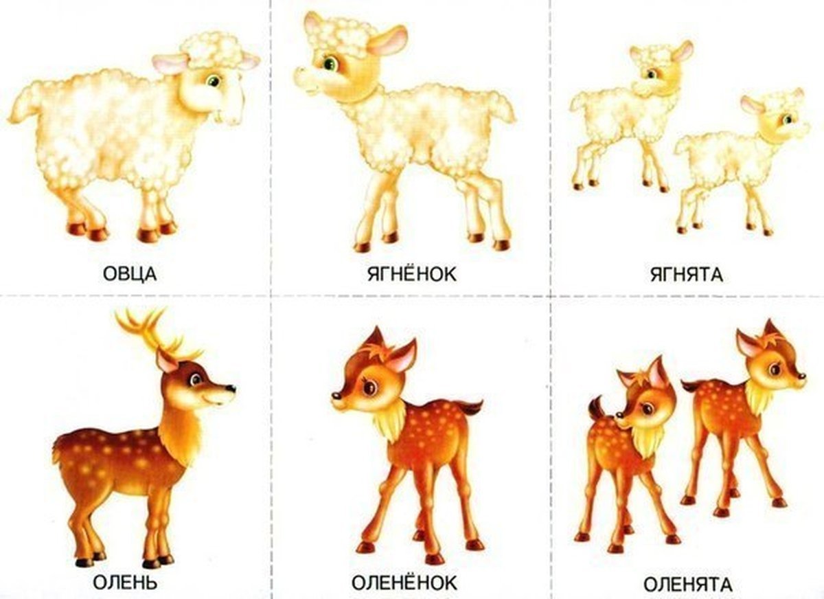 Карточки для детей животные и их Детеныши