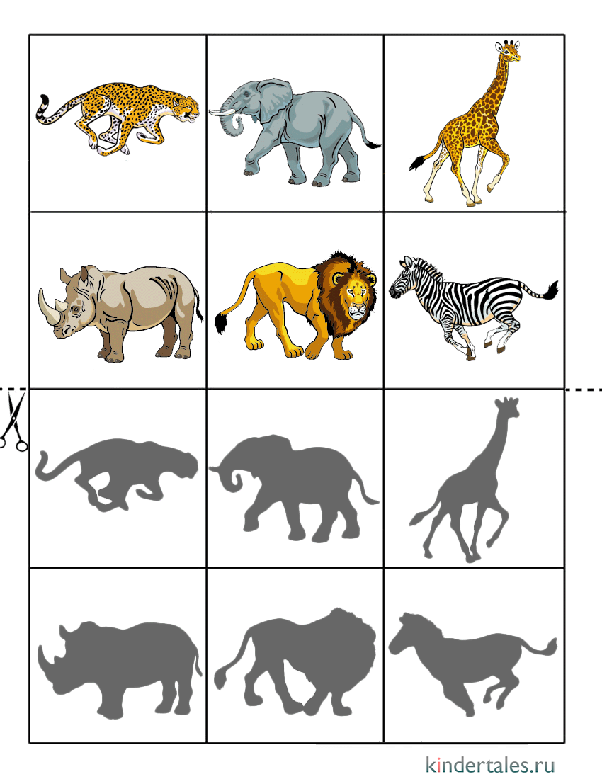 Игра тень животные Африки