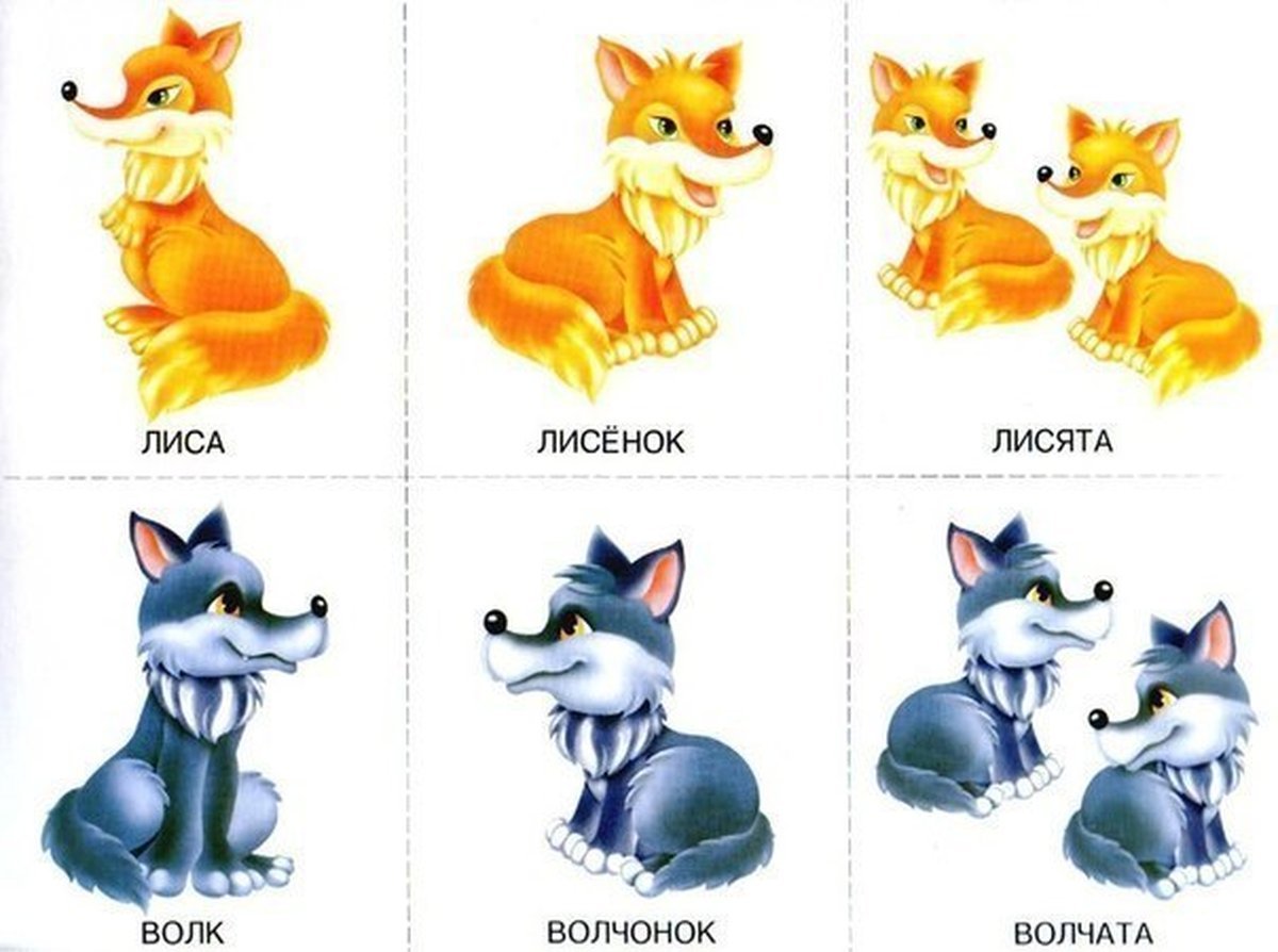 Детеныши диких животных для детей