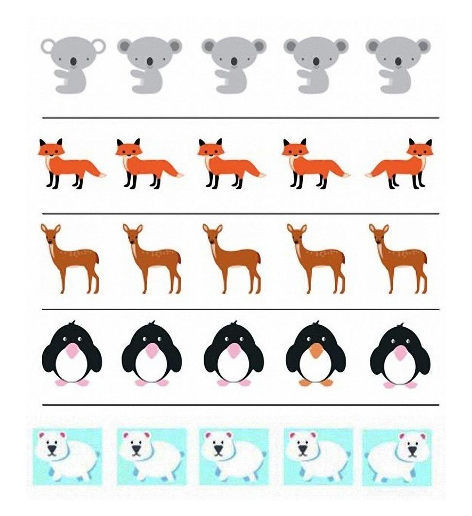 Животные задания для детей