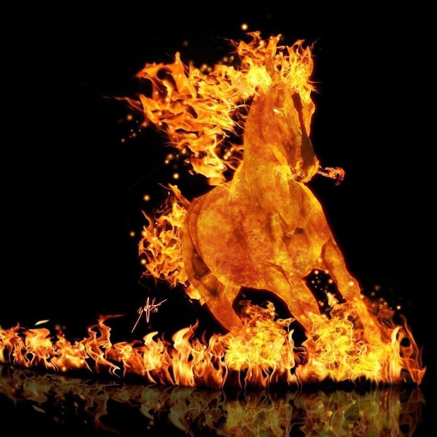 Понита покемон Единорог