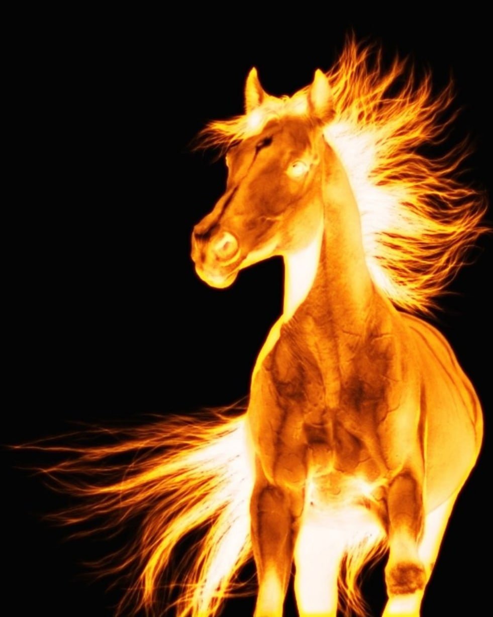 Мистический конь