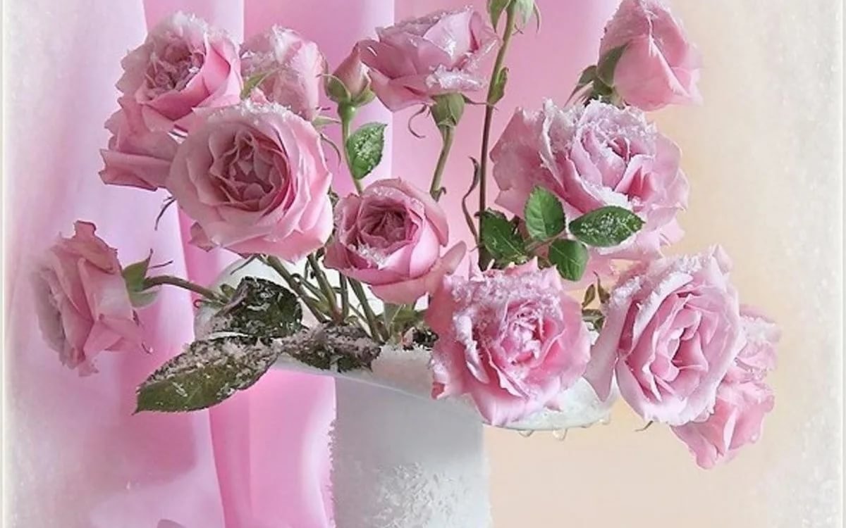 Поздравления с днём рождения олнокласнице