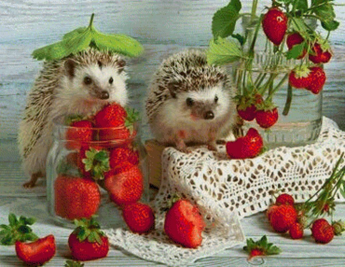 Ежик в кровати