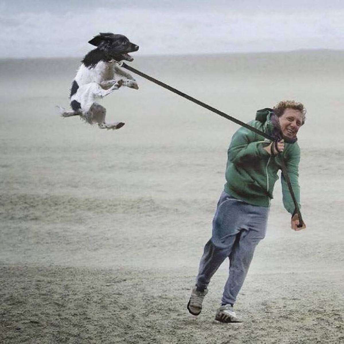 Сильный ветер Мем