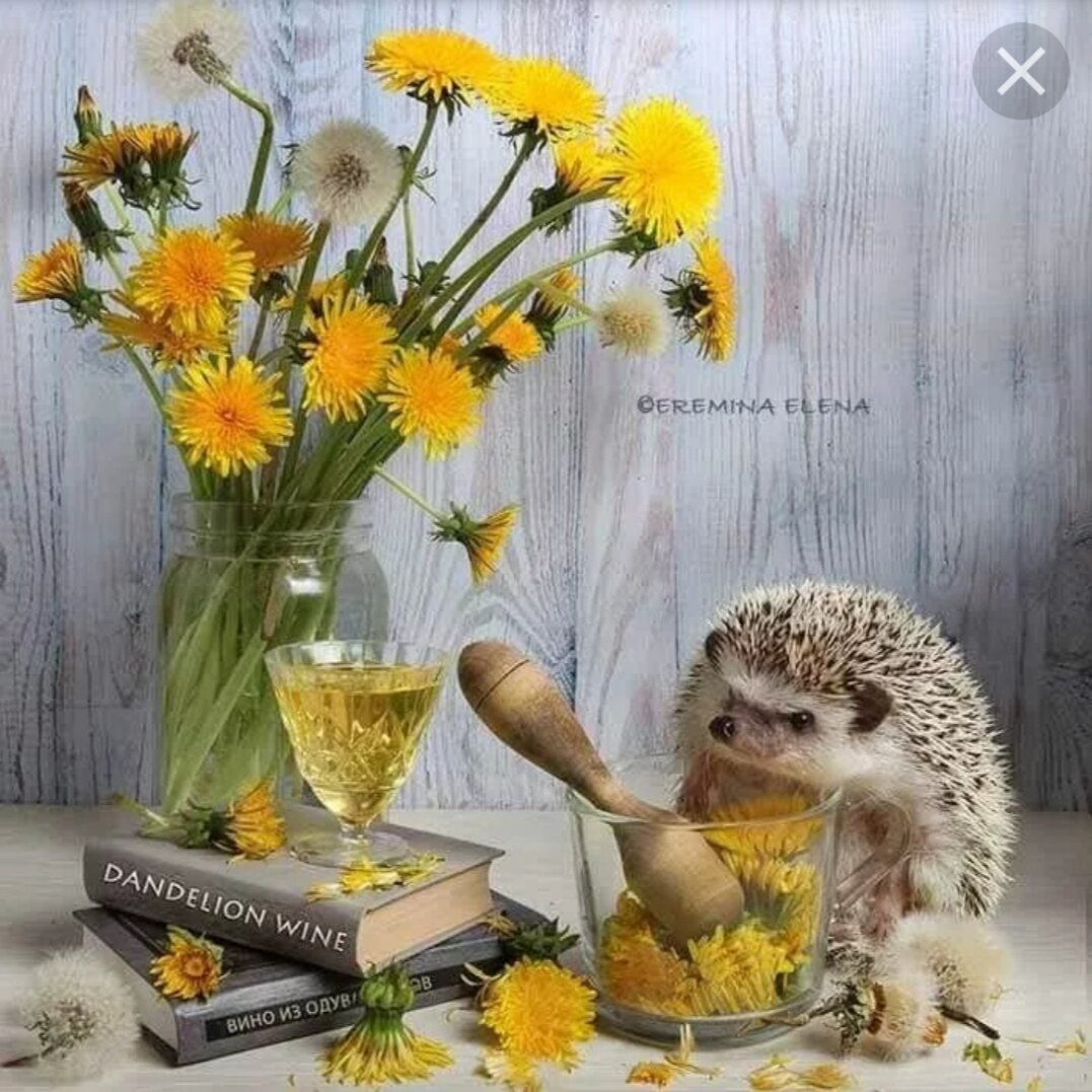 Художник-иллюстратор Ирина Глущенко