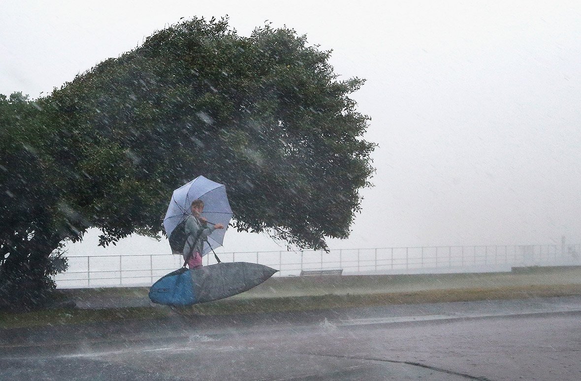 Ветер сносит деревья