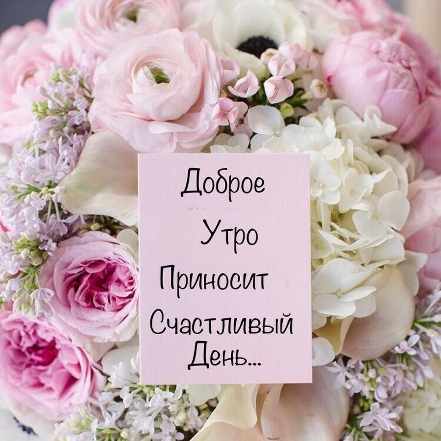 Стильные поздравления с добрым утром