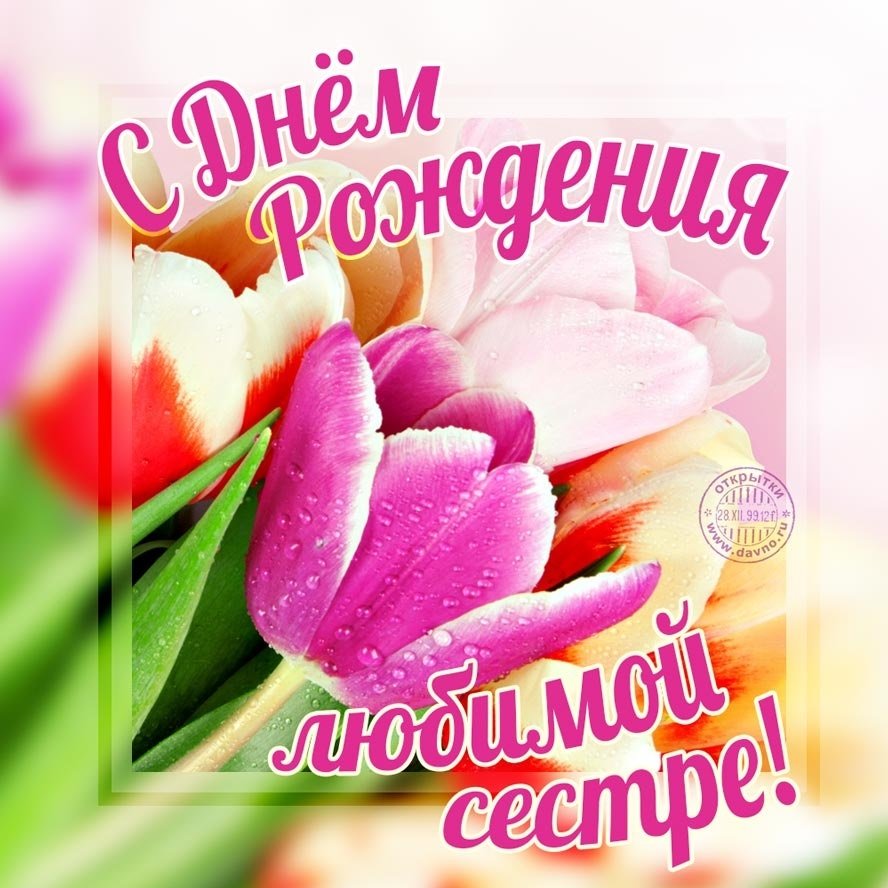 Света с днём рождения поздравления