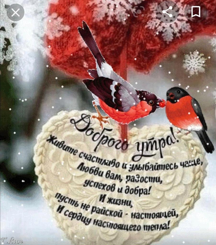 Прикольные поздравления с добрым утром зимние