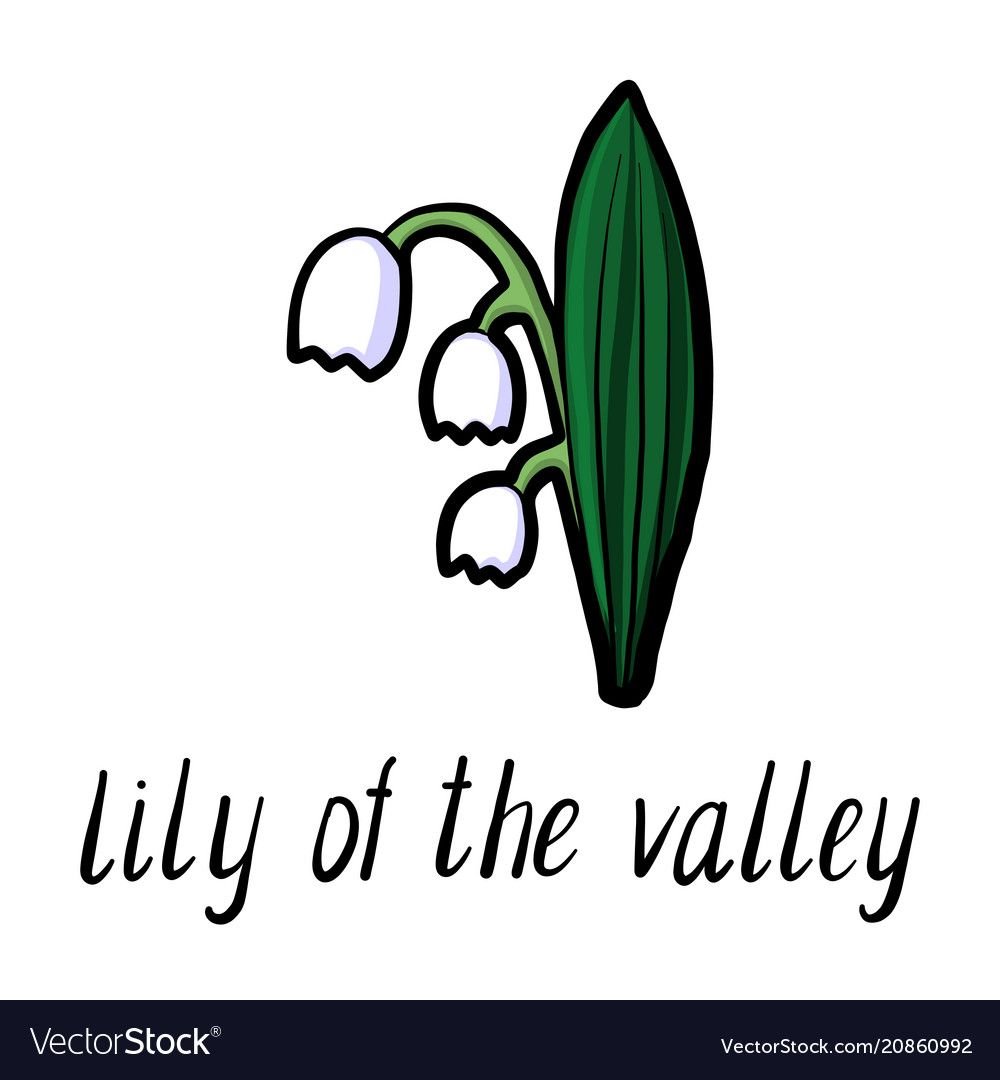 Поле ландышей вектор