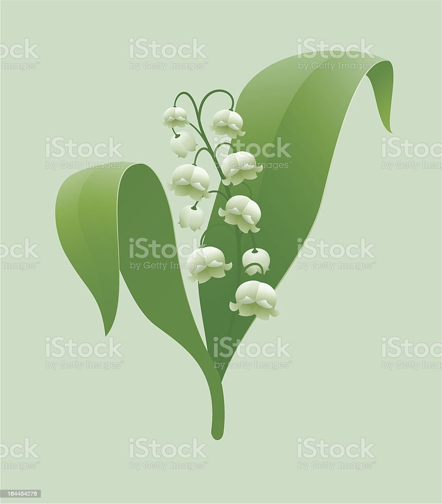 Дети с ландышами детский сад