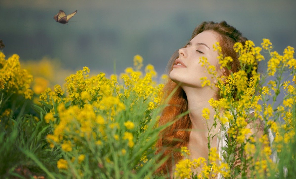 Гармония природы