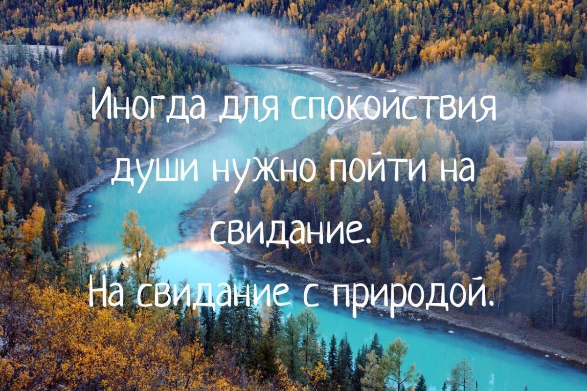 Душевное спокойствие