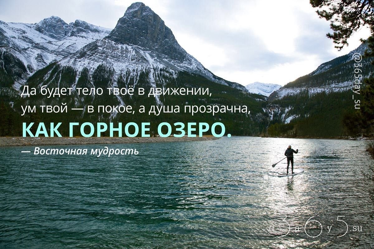 Мудрость внутри