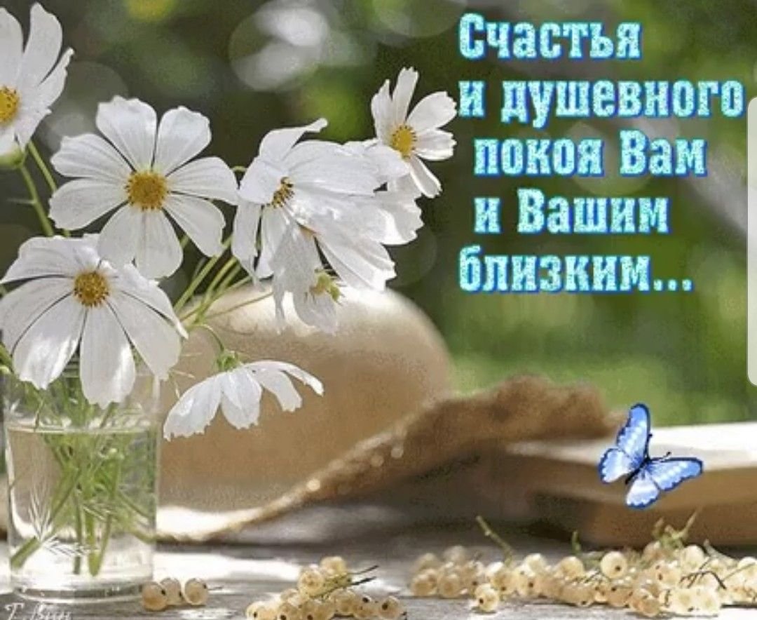 Спокойствие в жизни