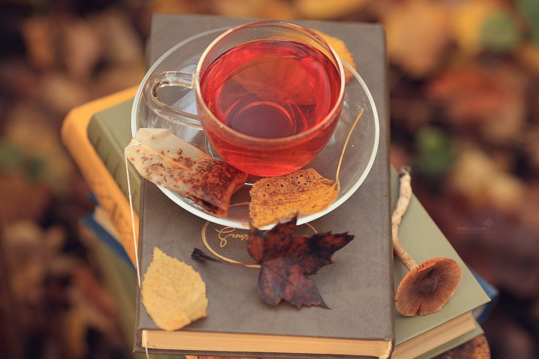 Чай Эстетика