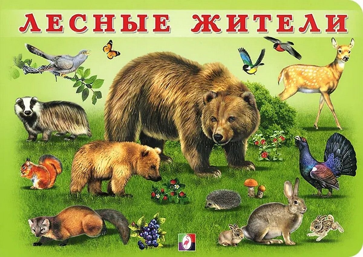 Лесные животные для детского сада