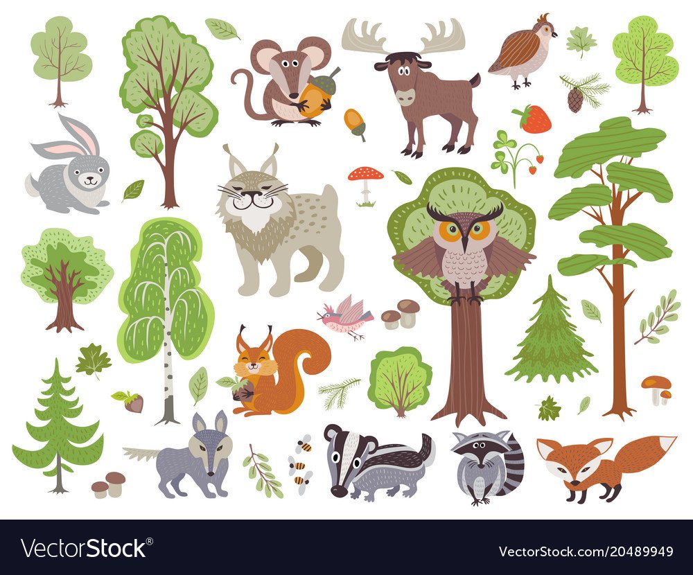 Карточки дидактические Дикие животные леса для детей