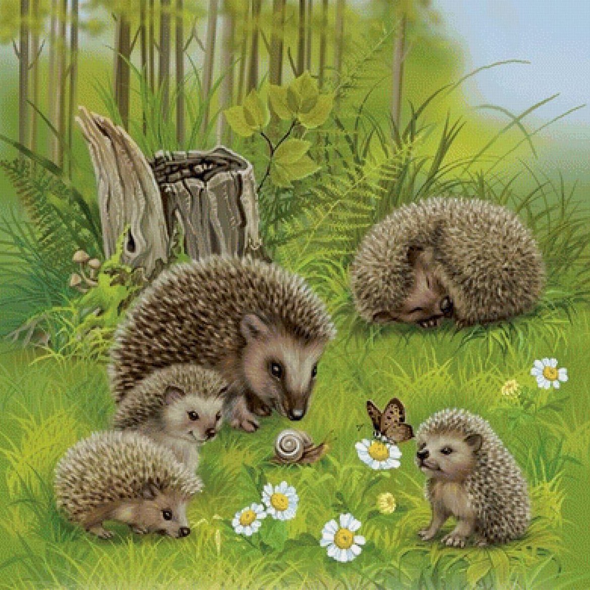 Рисовалка "Лесные жители"