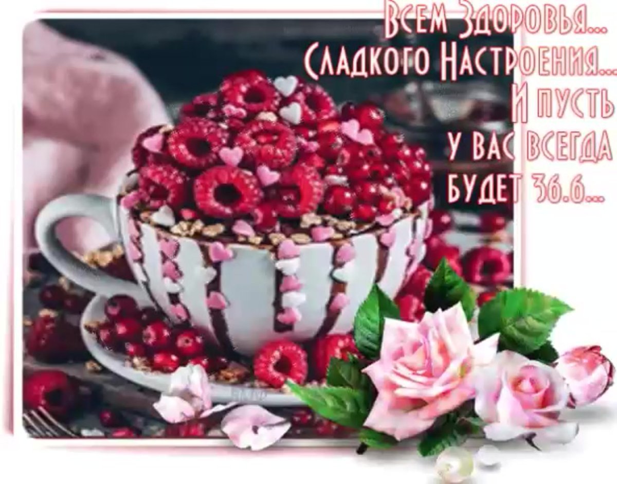 Летнего настроения и хорошего дня