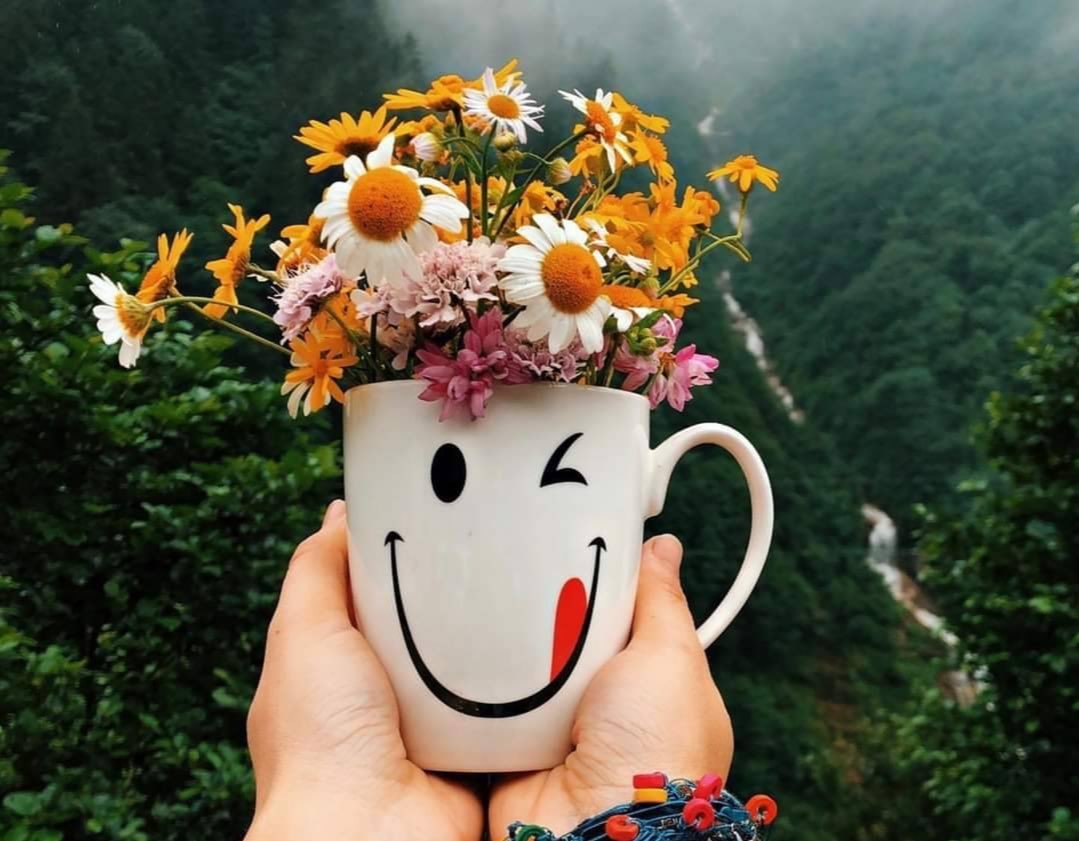 Стильные поздравления с добрым утром