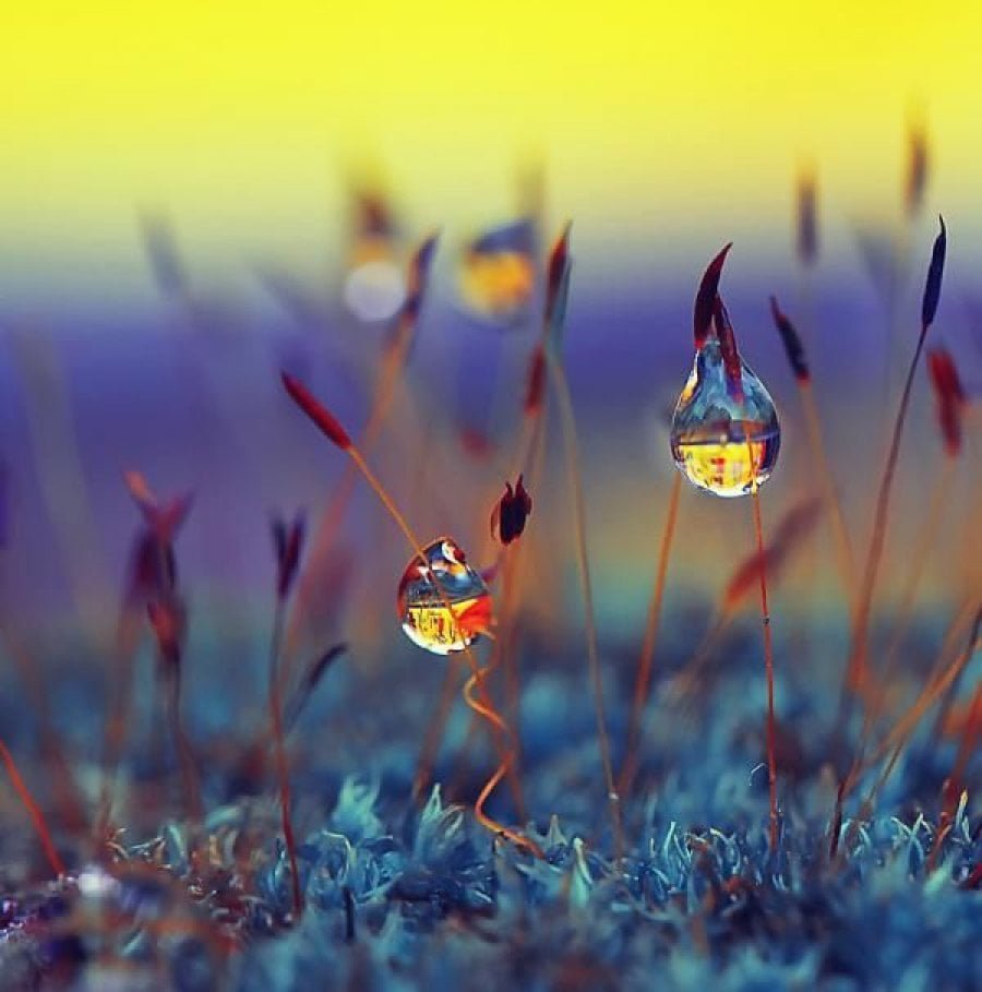 Доброе субботнее утро