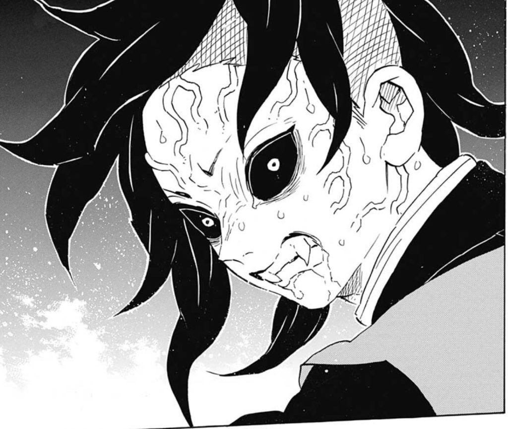 Шинадзугава Манга