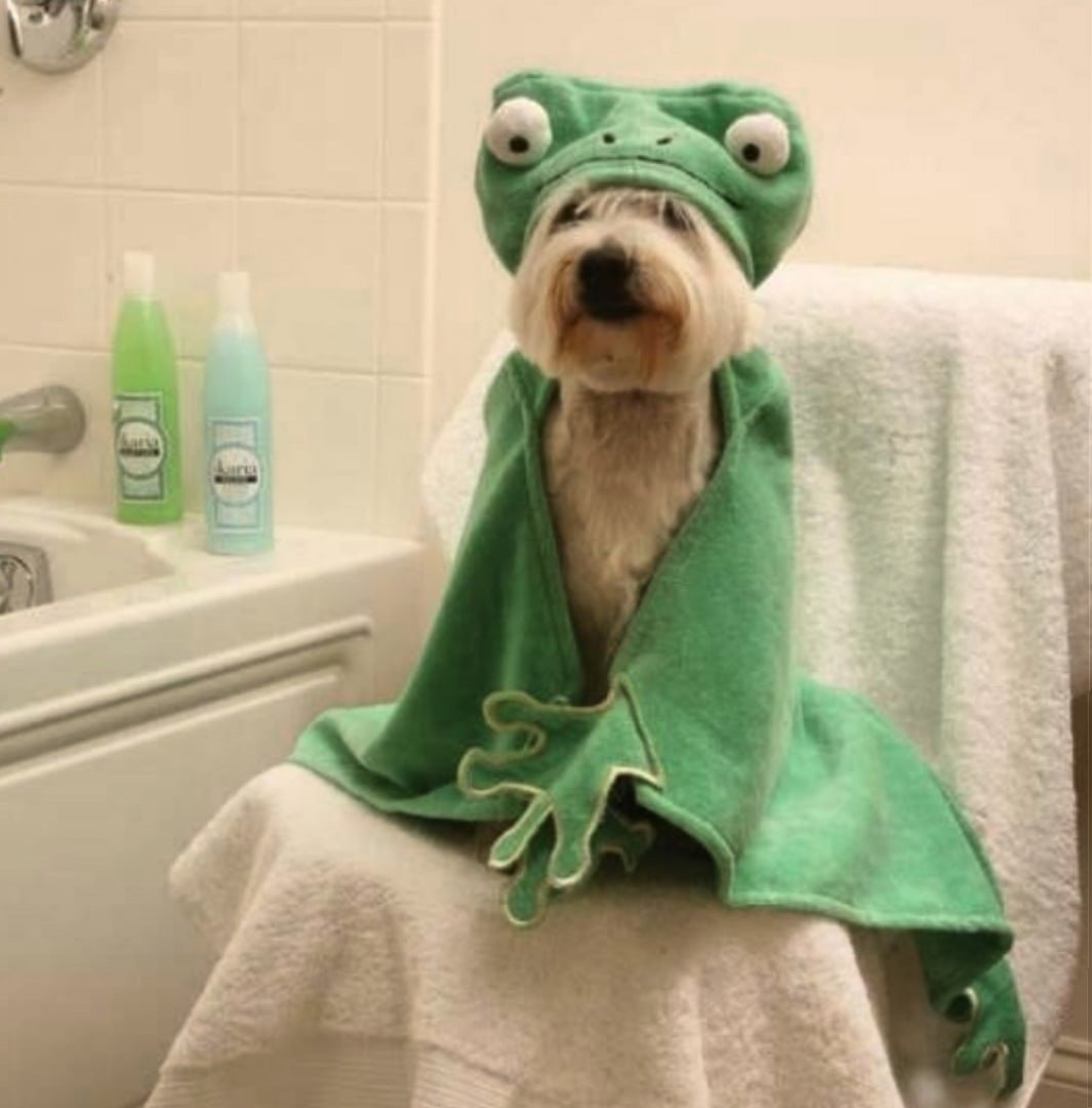 Открытки с легким паром