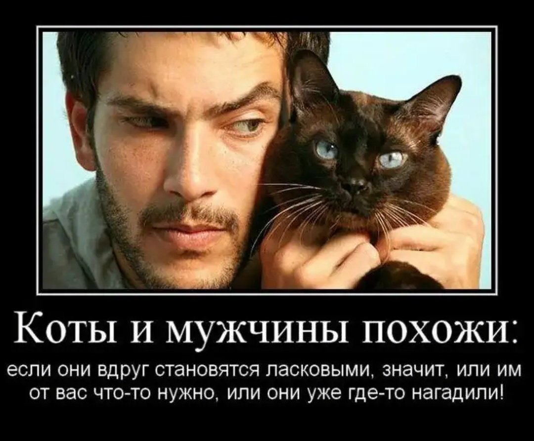 Анекдоты про мужчин в картинках