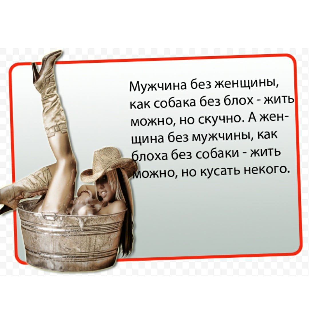 Смешные высказывания про мужчин