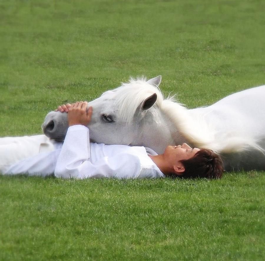 Смешной принц на коне