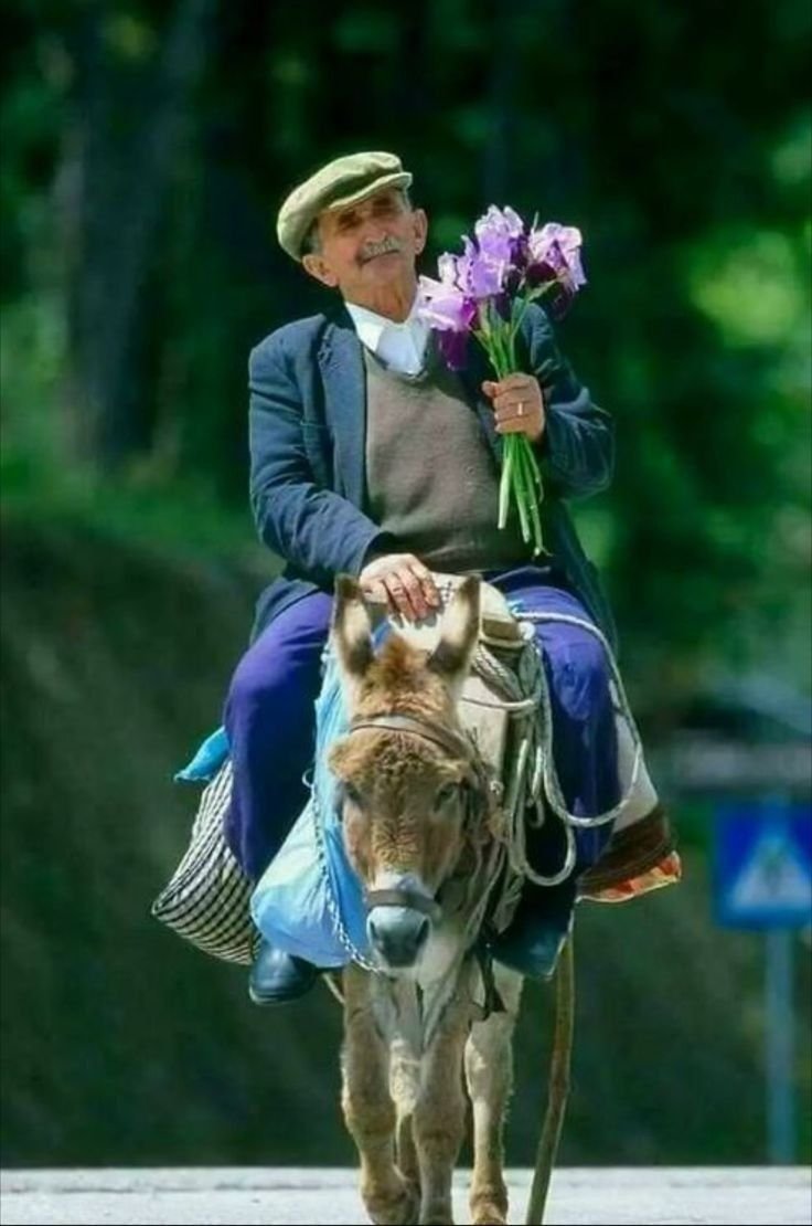 С днем рождения принц на белом коне