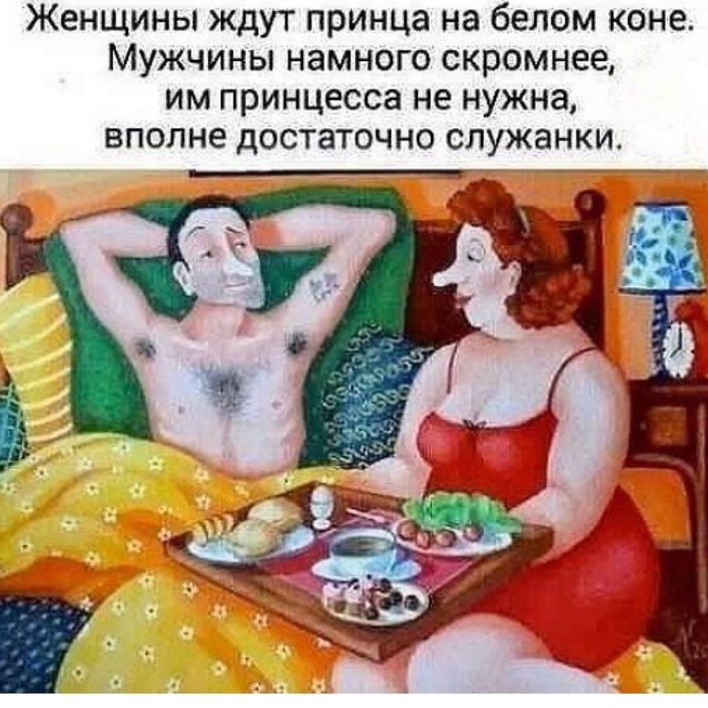 Толстые на коне