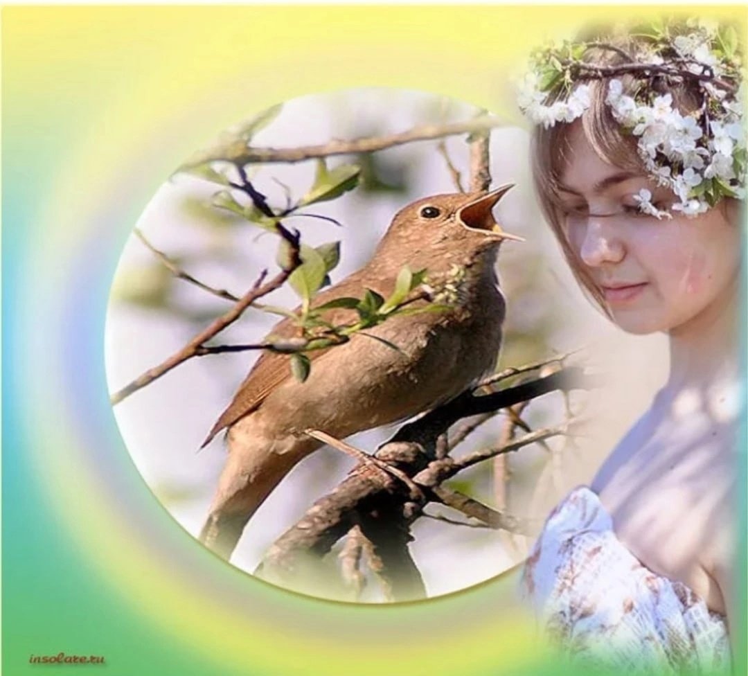Поющая птичка на ветке