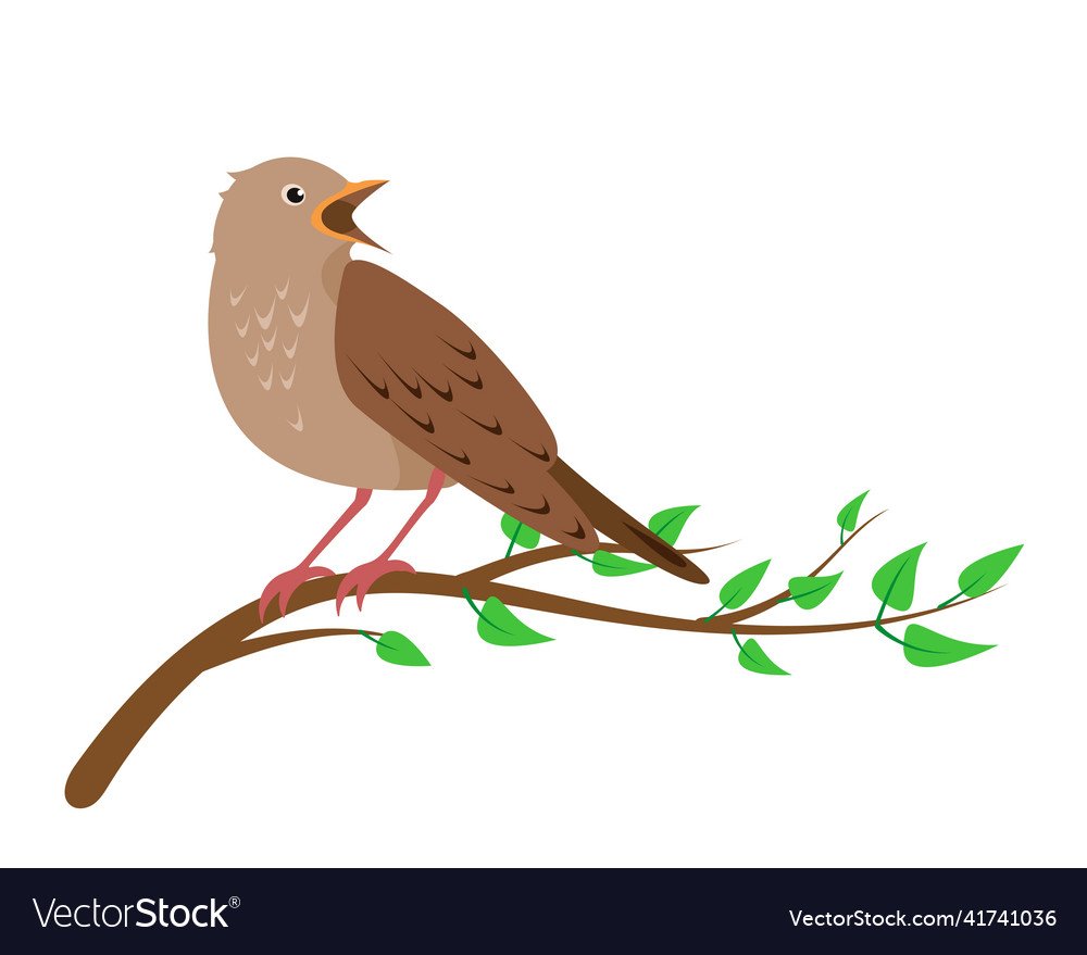 Птица поет мультяшная