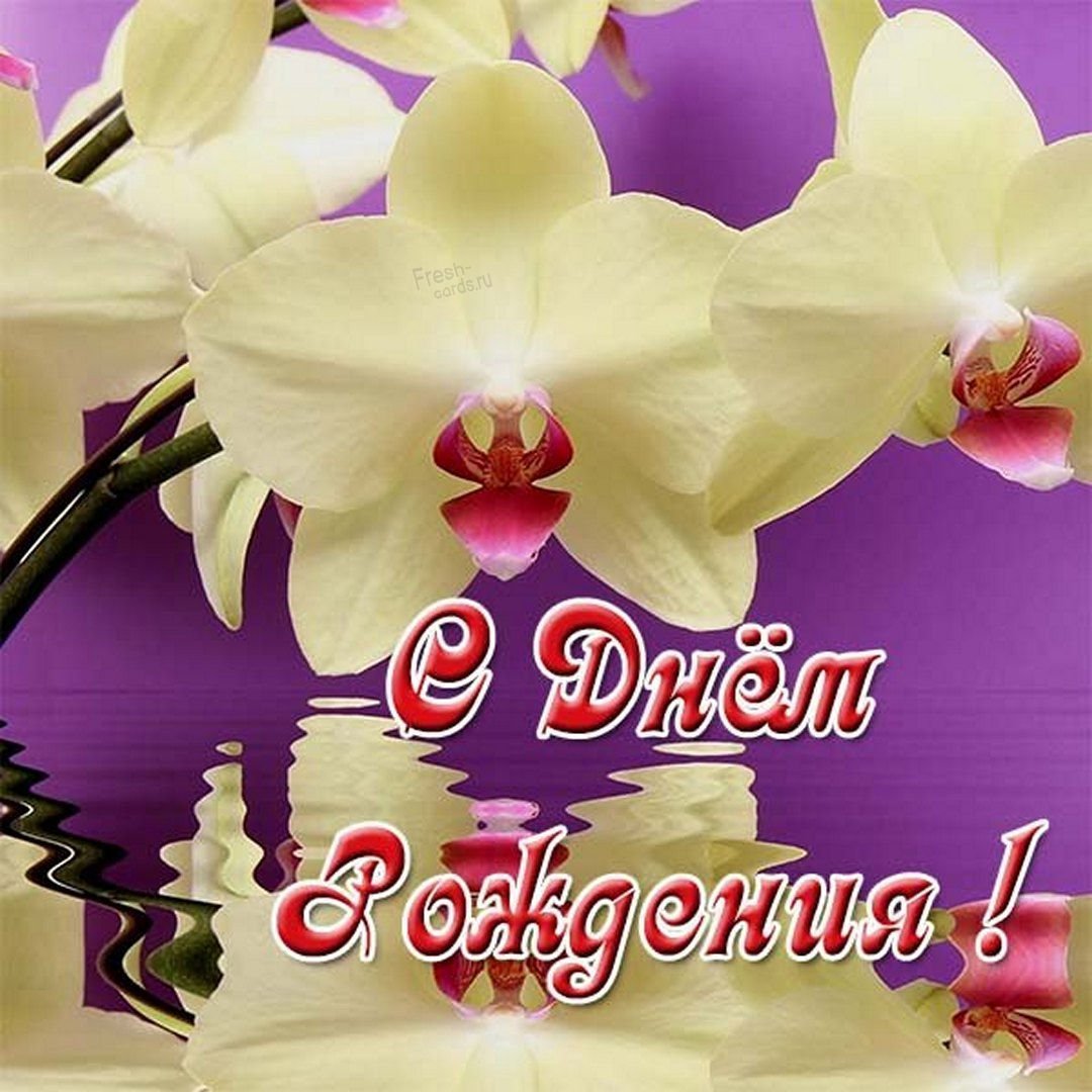 С днем рождения