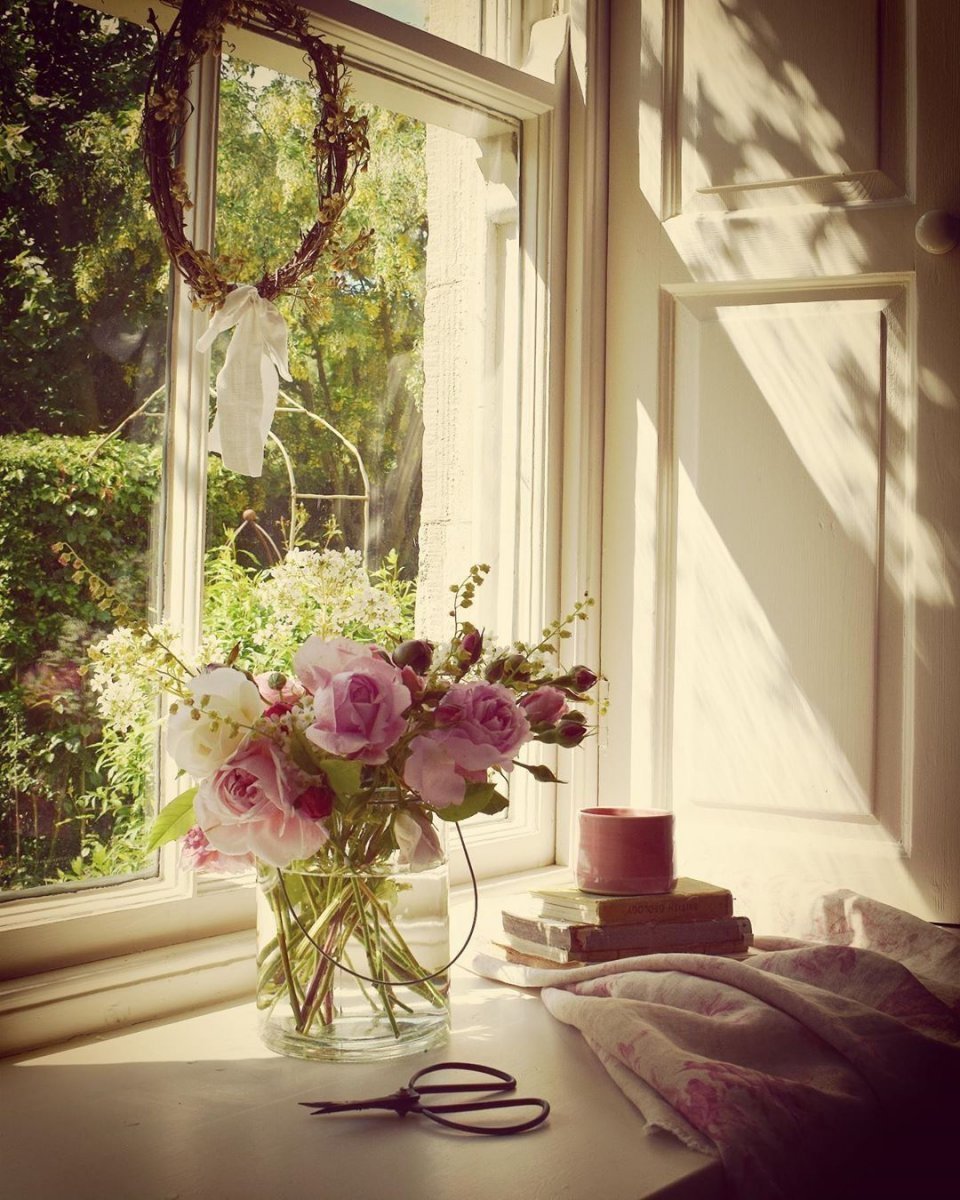 Цветы на подоконнике