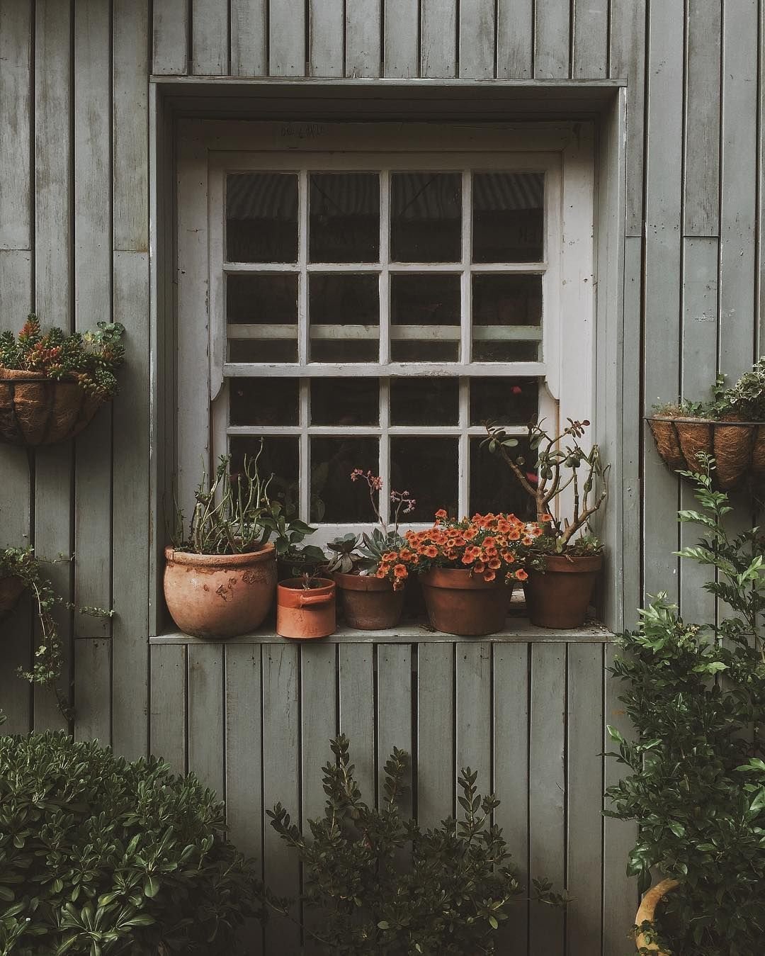 Эстетика загородной жизни