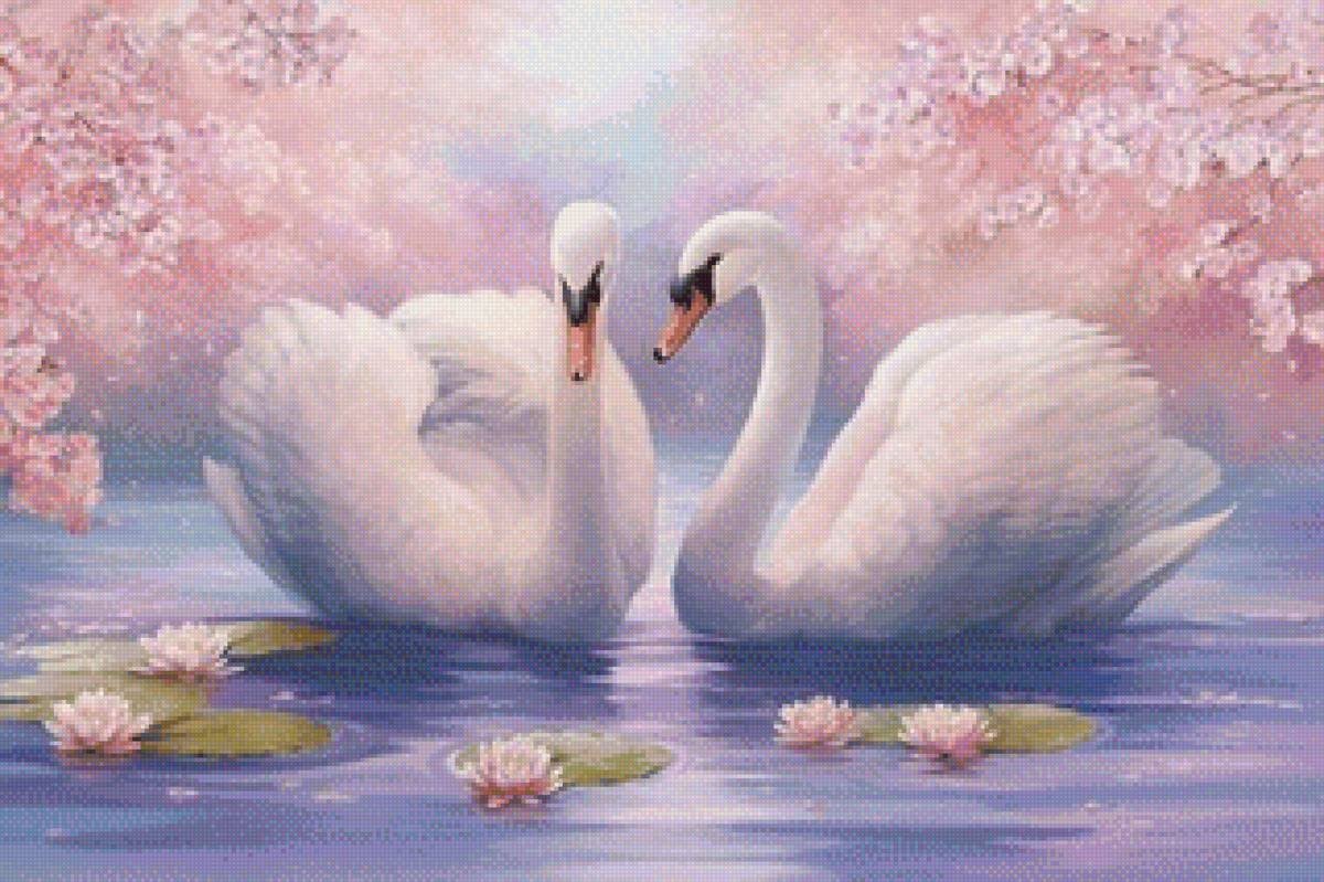 Влюбленные лебеди