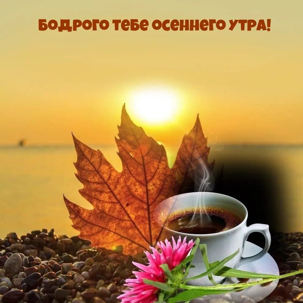 Тик ток доброе утро