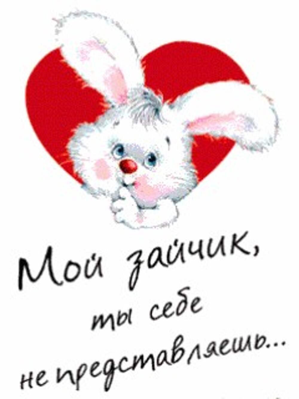 Привет зайчик картинки