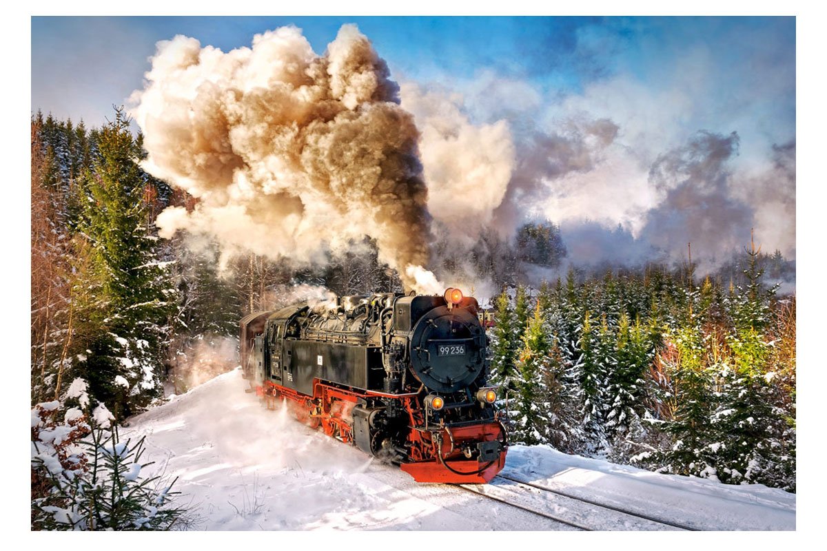 Пазл Castorland Steam Train (c-103409), 1000 дет.