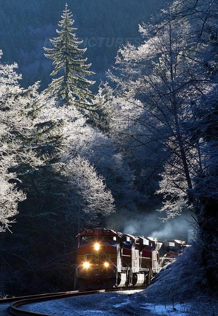 Красивый поезд