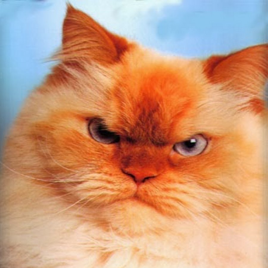 Прикольные открытки про мужа и жену