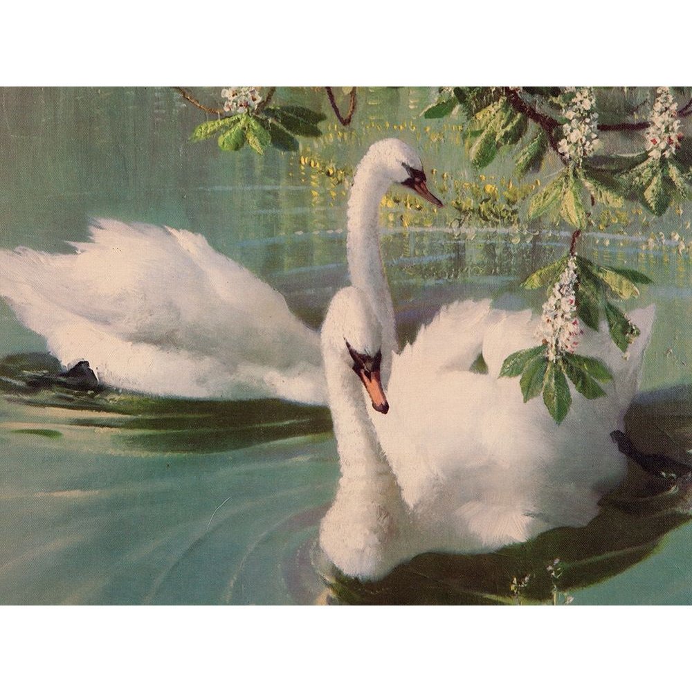 Лебедь Эстетика